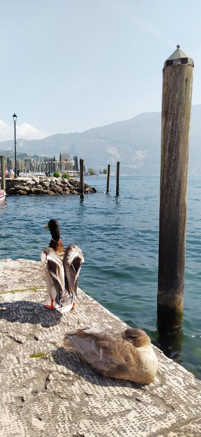 Riva Del Garda Nest 아파트 외부 사진